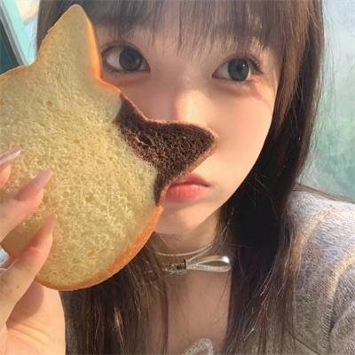 瓢虫 瓢虫